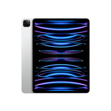 Hire iPad Pro 12.9 Wi-Fi for conferences. 