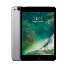 Rent iPad mini 4 Wi-Fi for conferences.