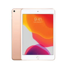 Hire iPad mini 5 Wi-Fi + Cell for tradeshows.