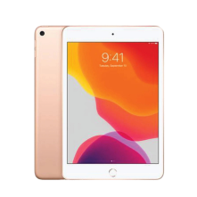 Rent iPad mini 5 Wi-Fi for business events.